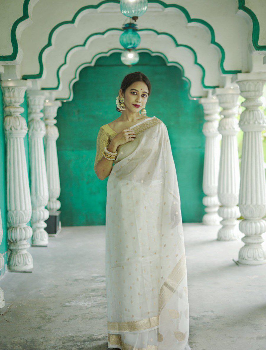 Amazing Designer Ocassion Wear Special Soft Linen Slab Saree Collection.