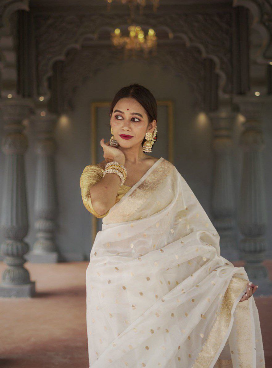 Amazing Designer Ocassion Wear Special Soft Linen Slab Saree Collection.