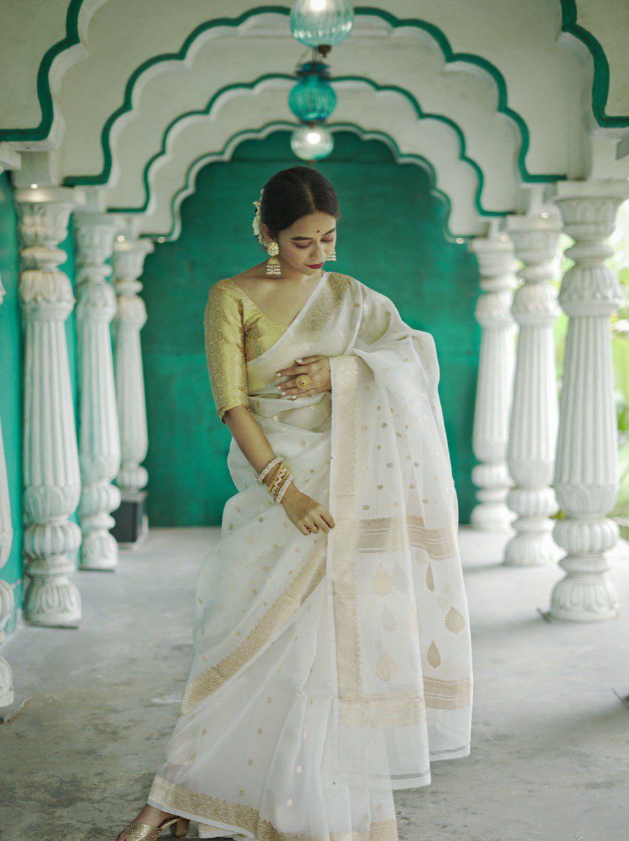 Amazing Designer Ocassion Wear Special Soft Linen Slab Saree Collection.