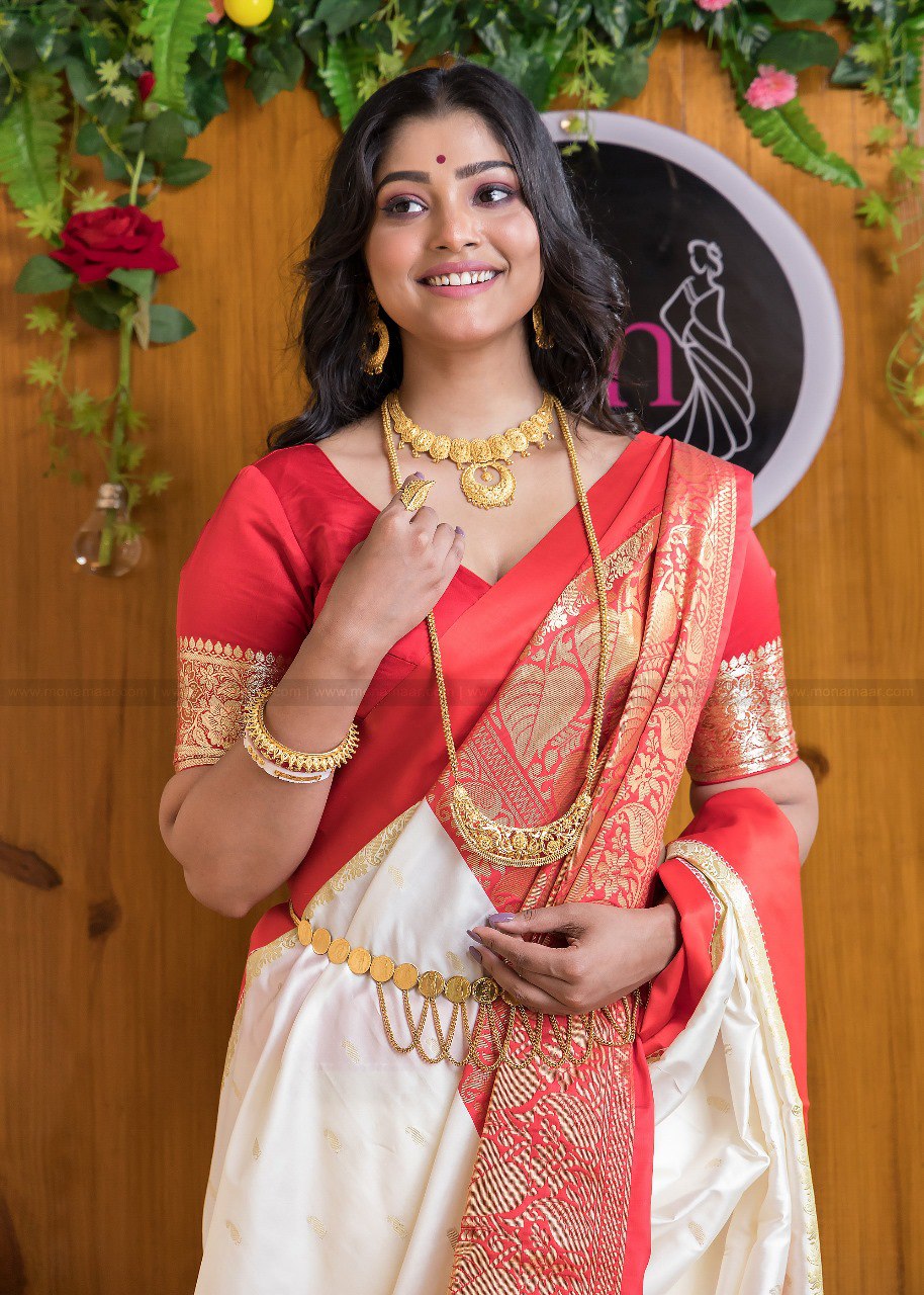 Beautiful Traditional Banarasi Soft Silk Saree Collection.