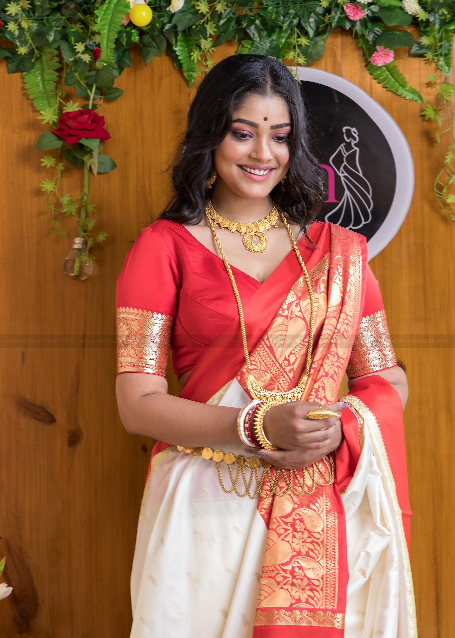 Beautiful Traditional Banarasi Soft Silk Saree Collection.