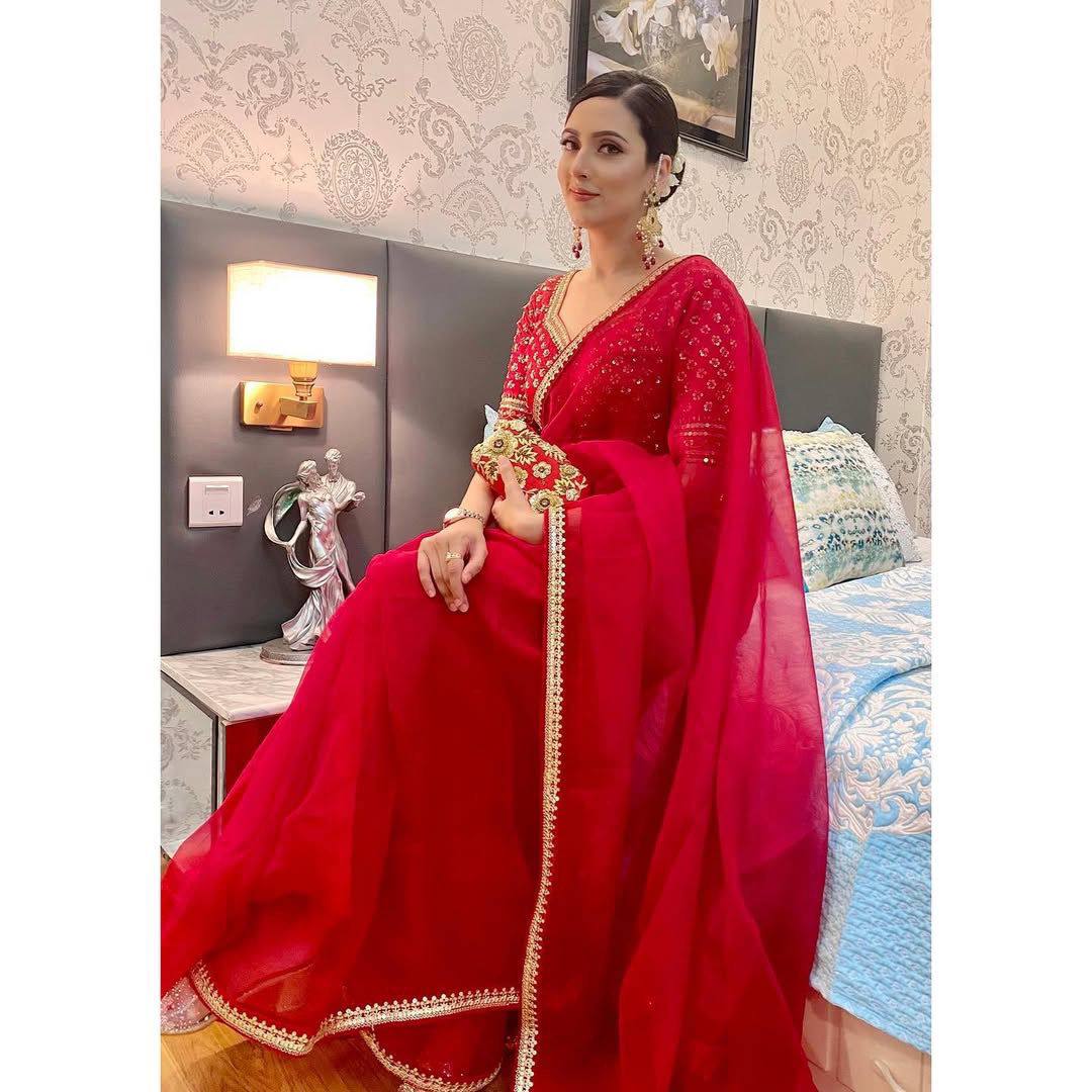 Perfect Pretty Red Premium Organza Silk Saree.