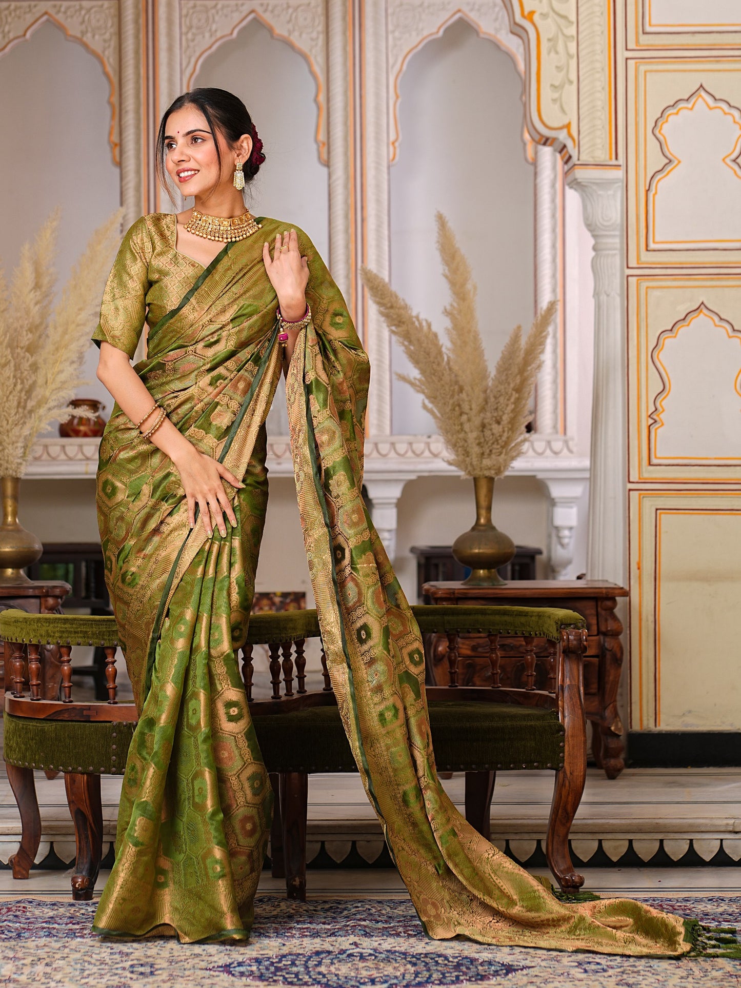 Festival Season Special Pure Organza Saree.