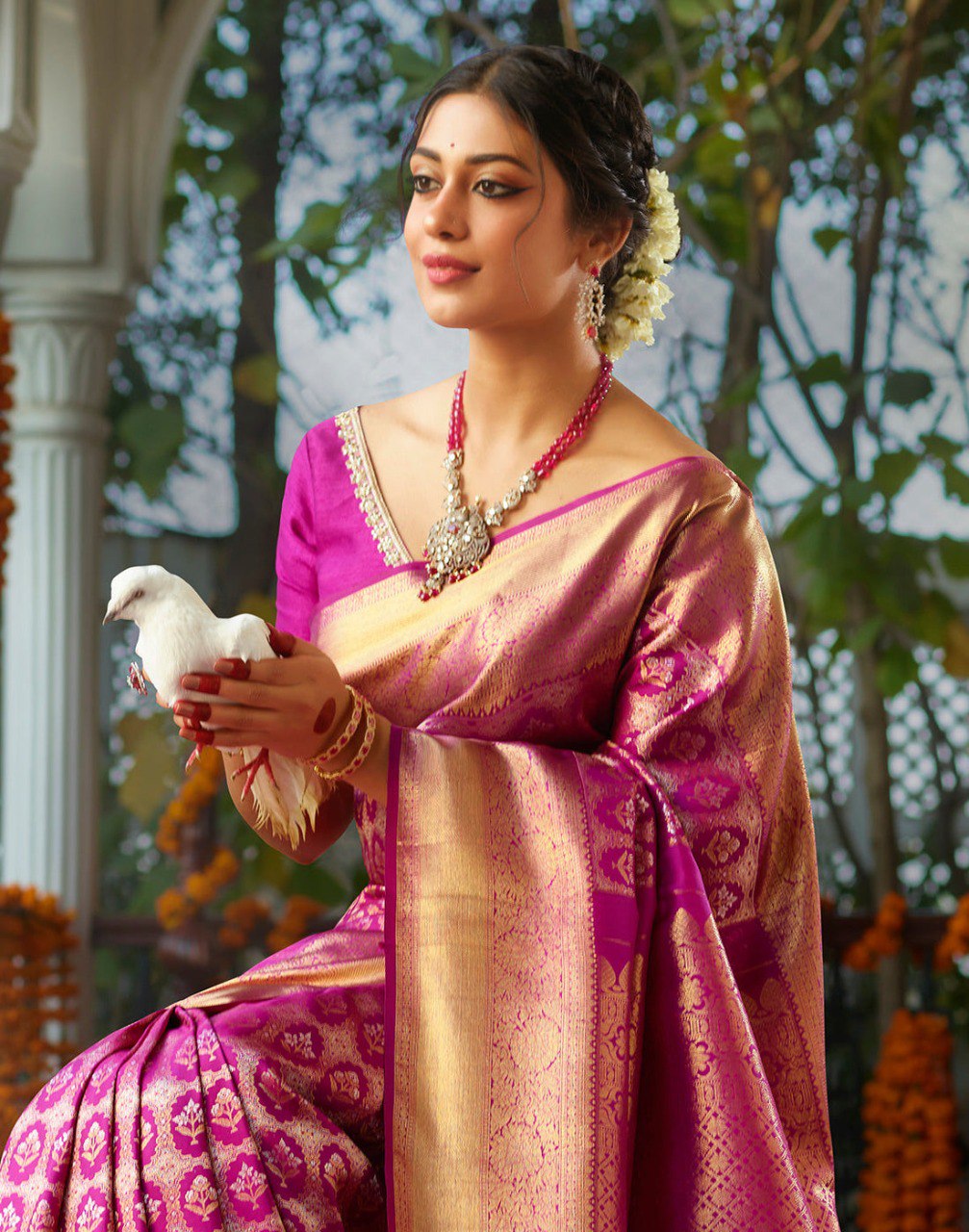 Latest Pure Soft Banarasi Silk Saree Collection.
