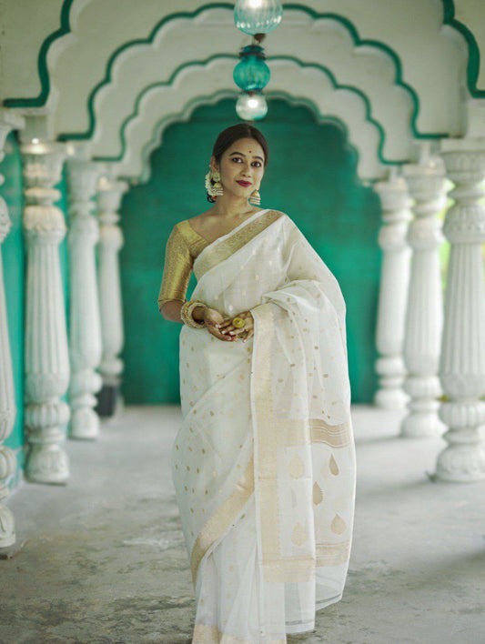 Amazing Designer Ocassion Wear Special Soft Linen Slab Saree Collection.
