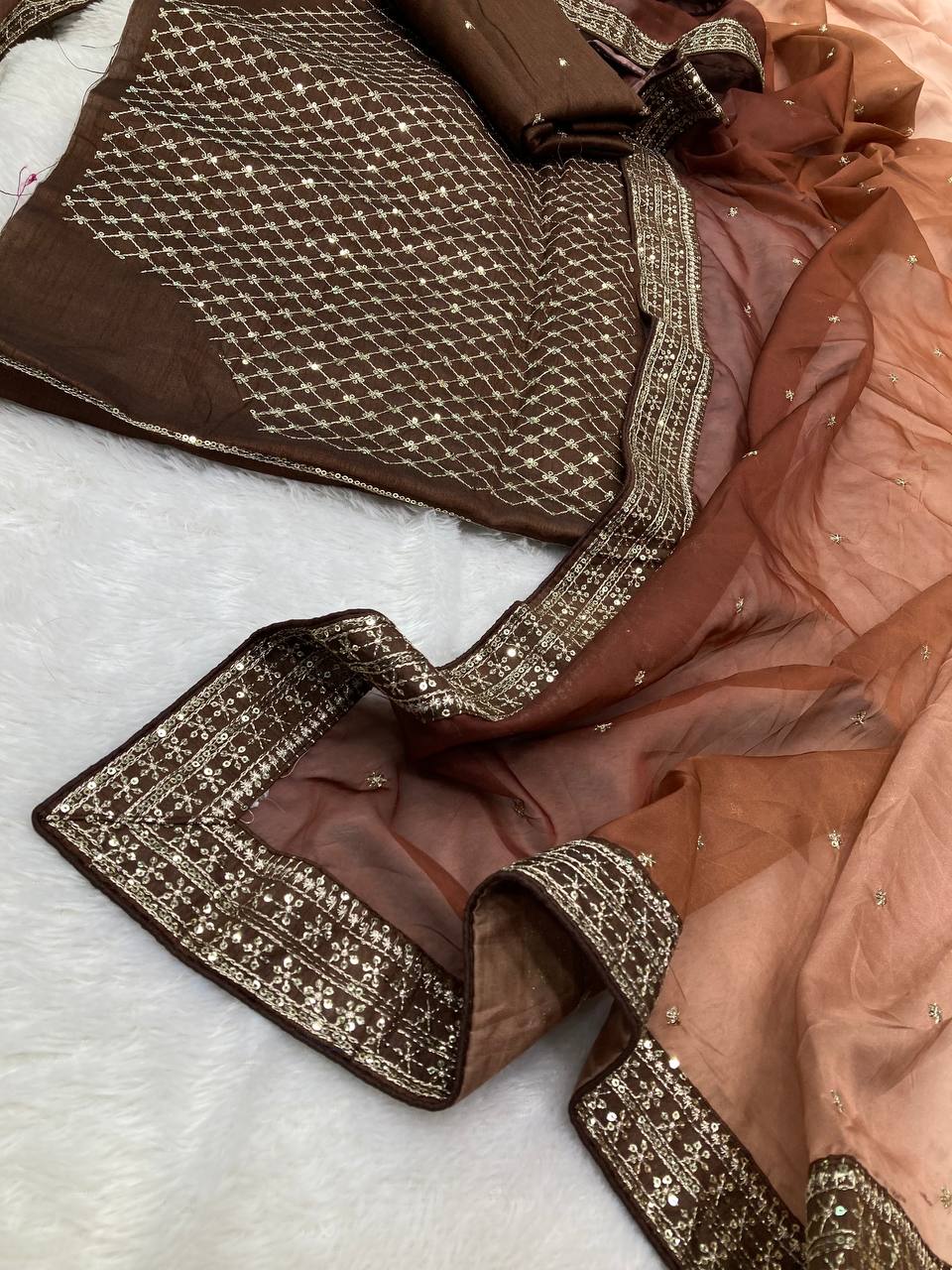 Gorgeous Looking Pretty Browni Light Dark Shades Organza Silk Saree.