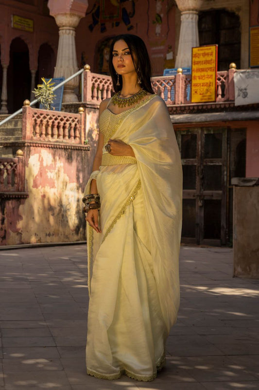 Beautiful Pure Bright Organza Silk Saree Collection.